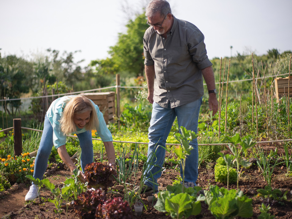 Gardening Image